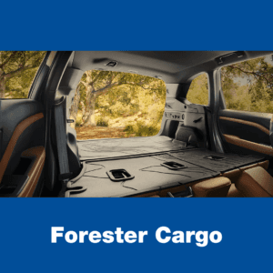 Forester Cargo Space