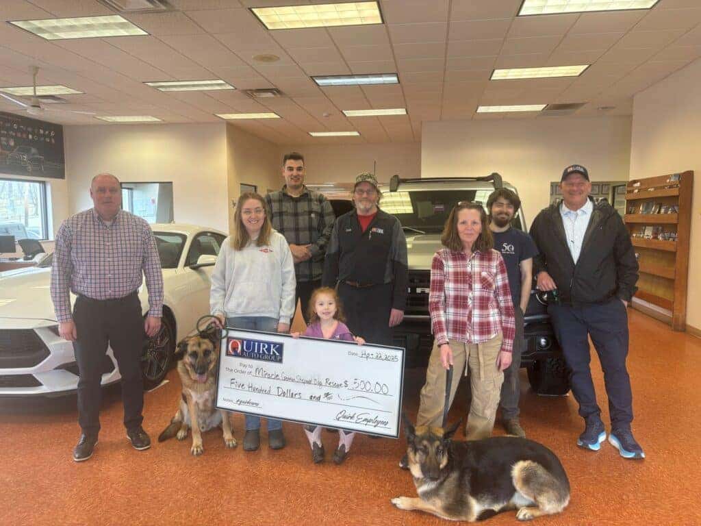 Miracle German Shepherd Dog Rescue of Maine Logo