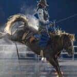 Apple Hill Rodeo Logo