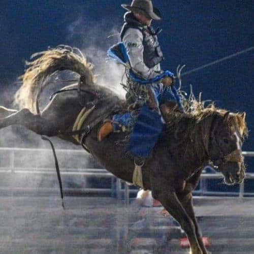 Apple Hill Rodeo Logo