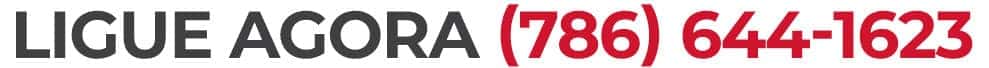 South Dade Toyota Brasil Commercial Call Us