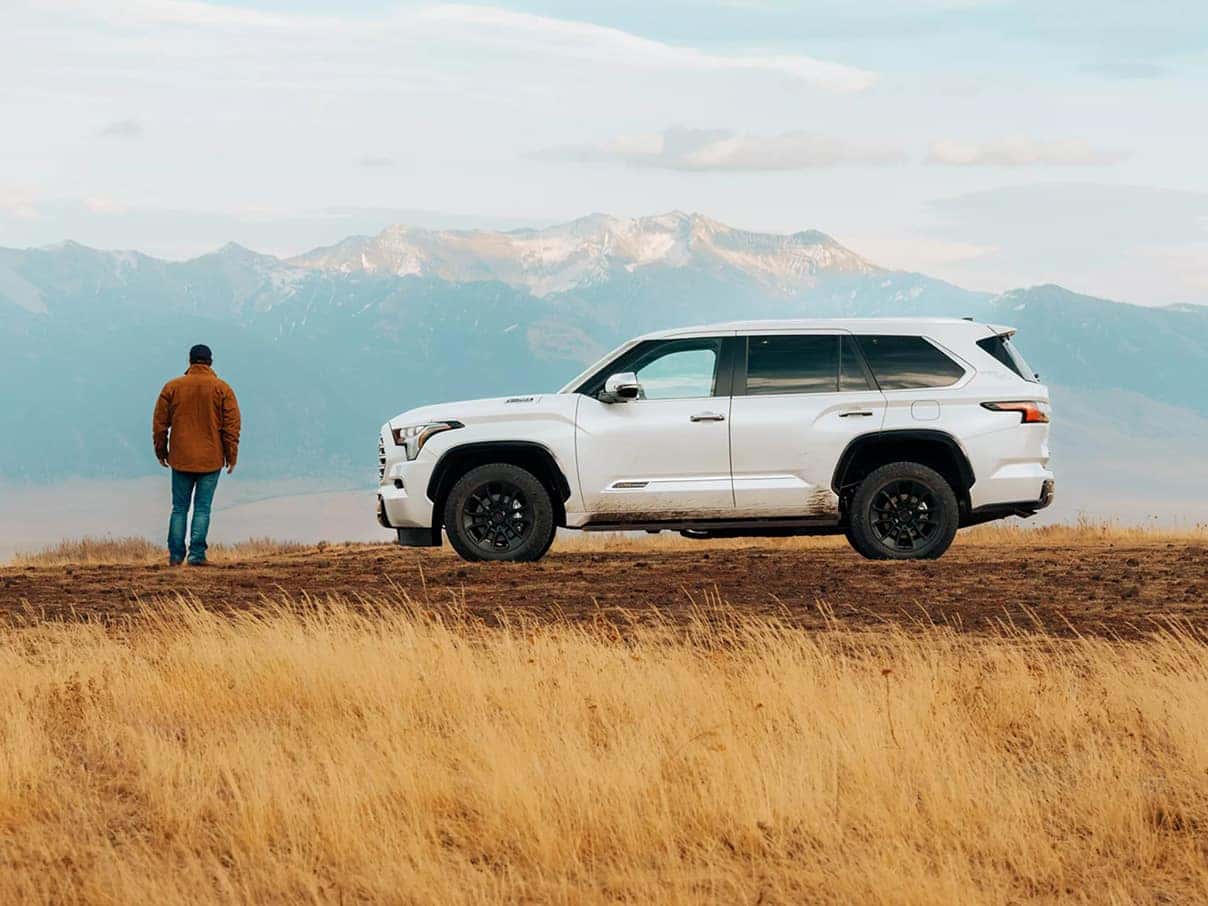 2026 Sequoia