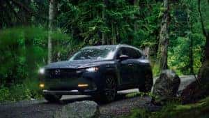 2023 Mazda CX-50 in lush forest
