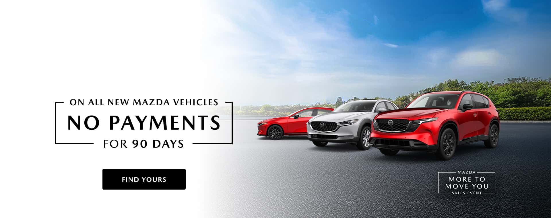 No Payments for 90 Days Promo