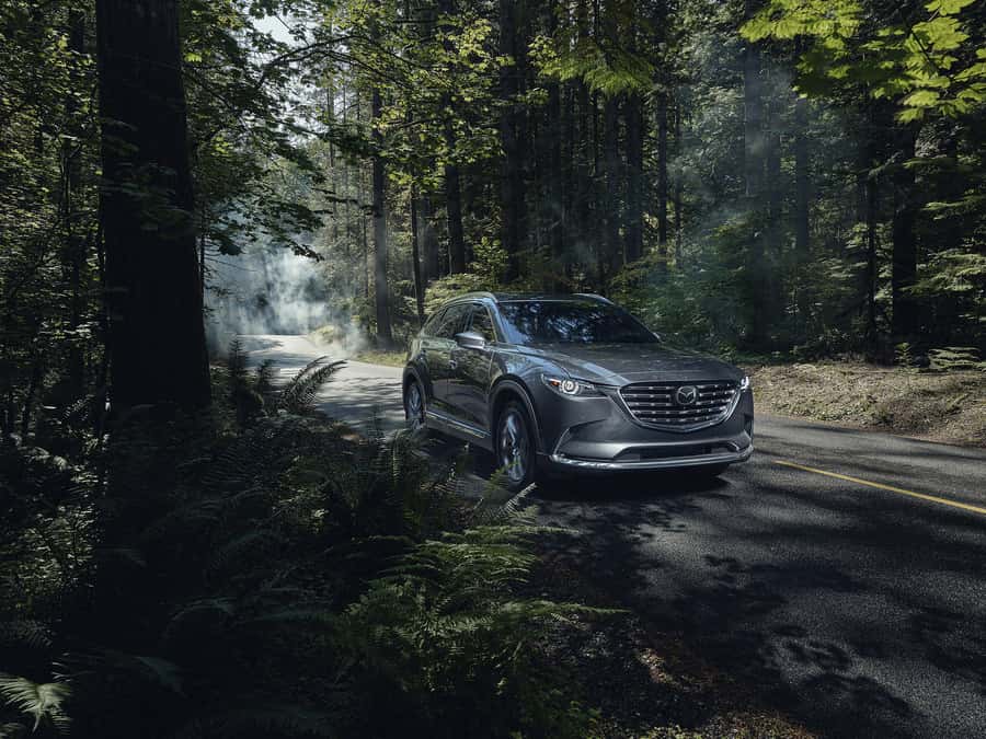 2201 MAZDA CX-9 in the woods