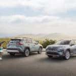 2019 Toyota RAV4 Special