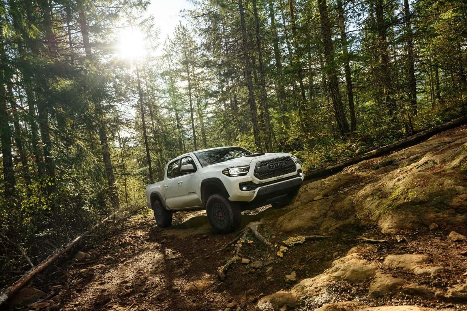 CPO Toyota