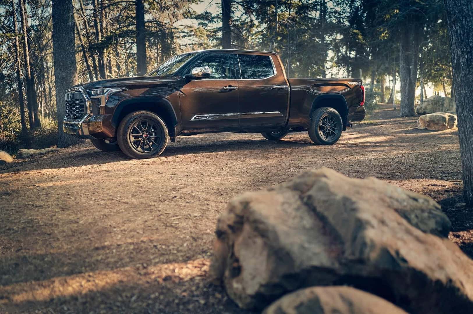 Toyota Tundra parked in the forest