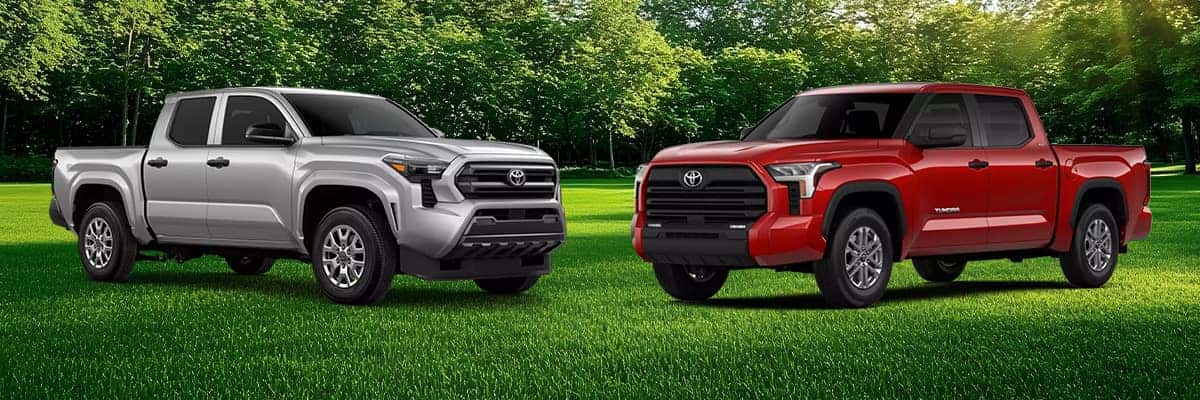 Used Tacomas