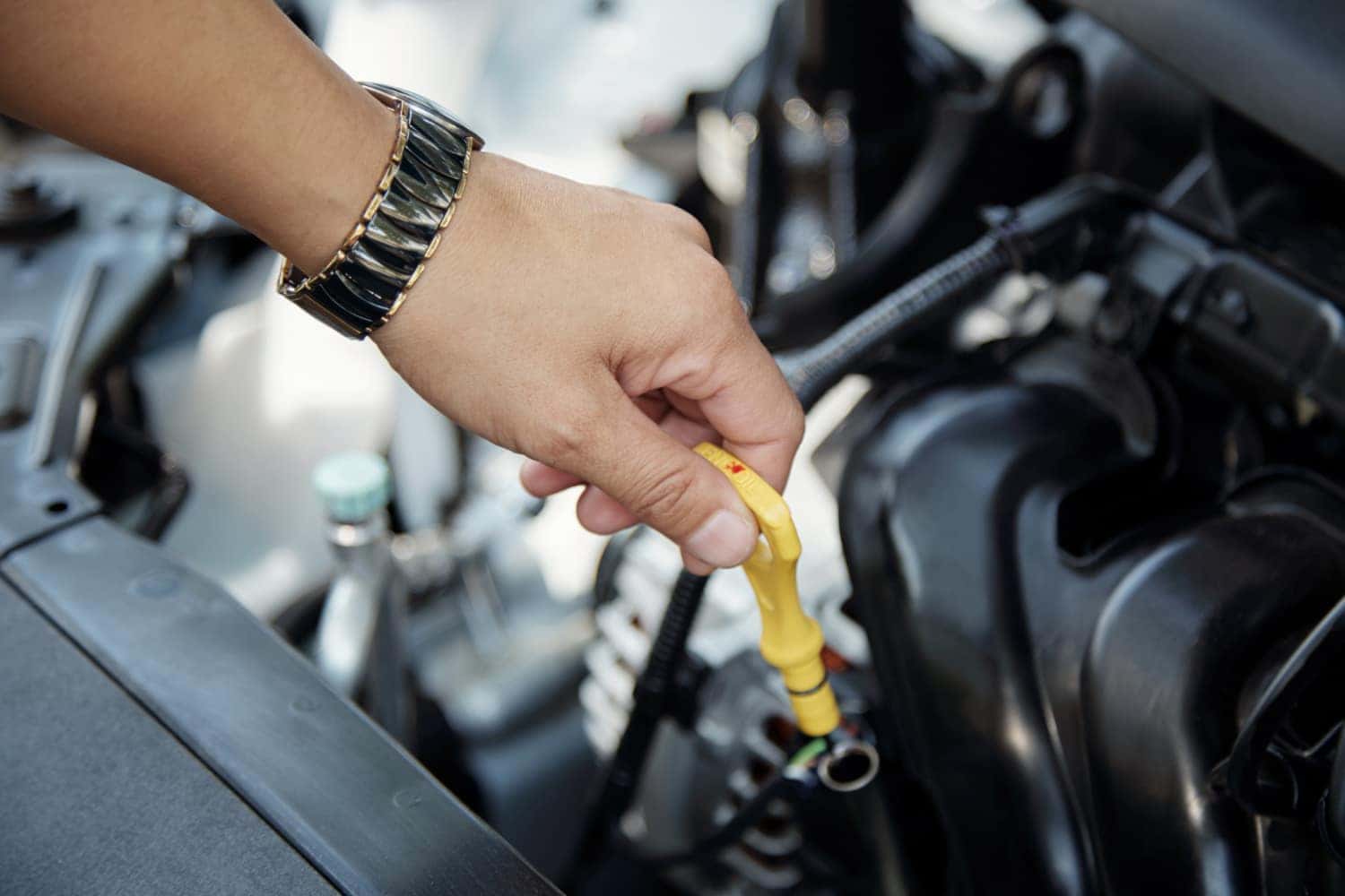 Oil Change near Me