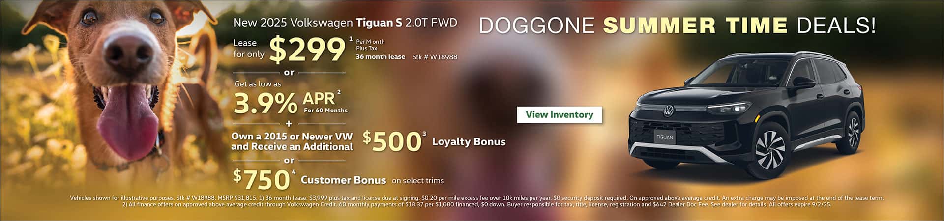 August Tiguan Offer