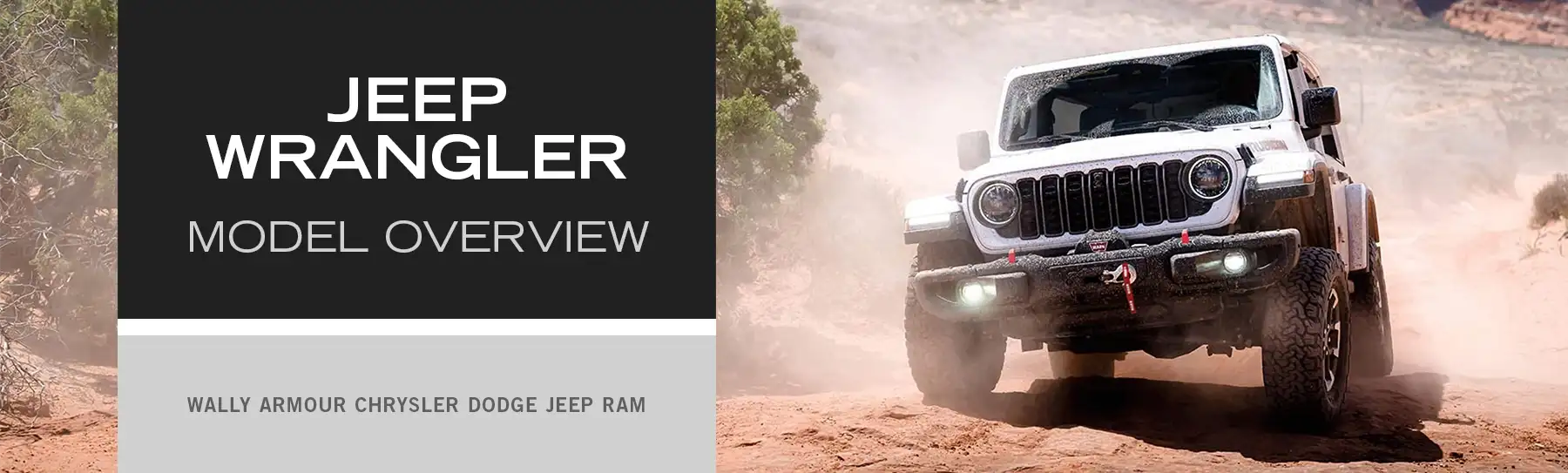 Jeep Wrangler Overview - Wally Armour CDJR