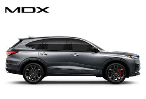 mdx