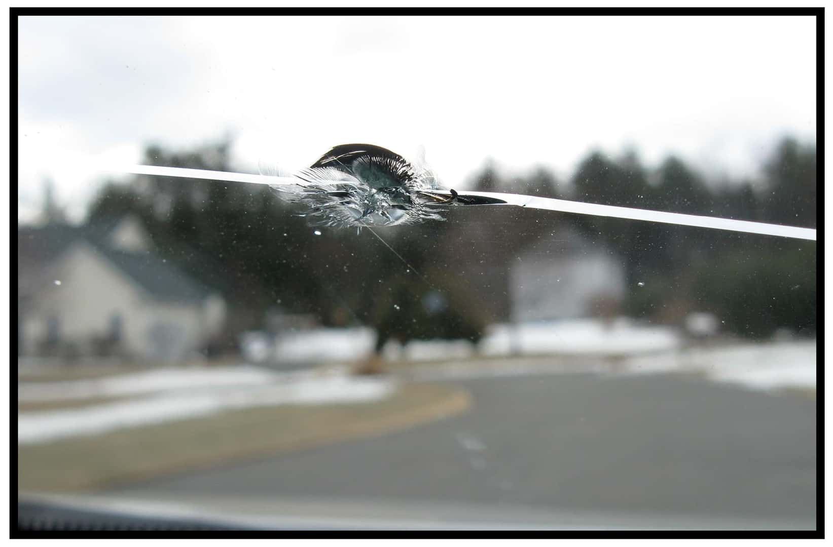 Windshield Repair Willis Automotive